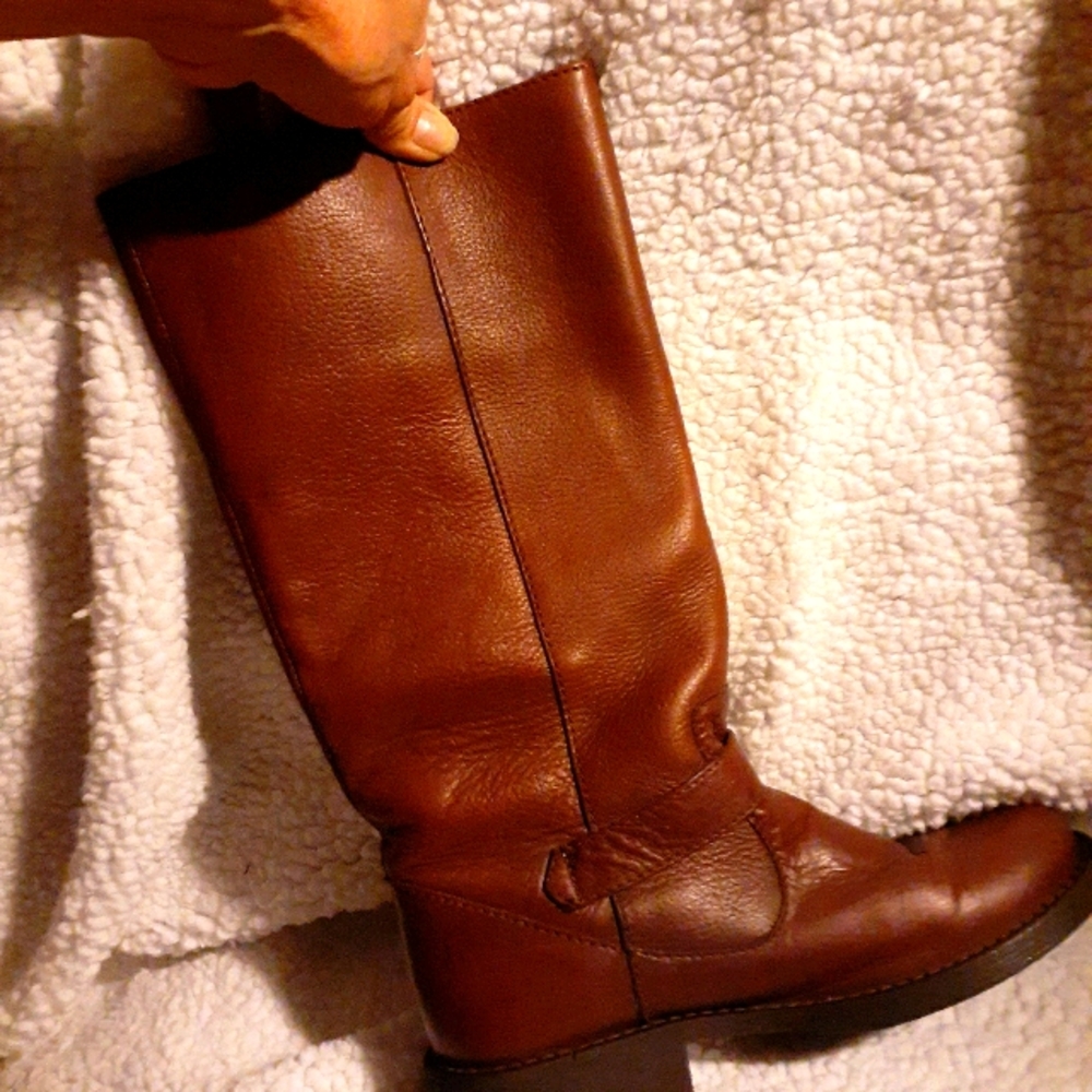 Steve Madden riding boots